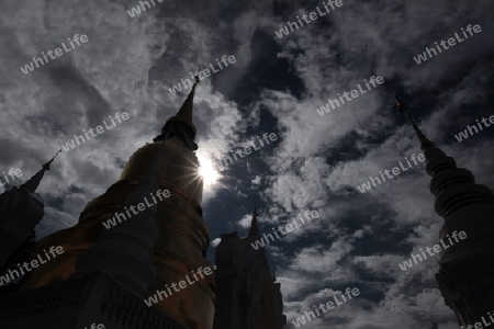 Die Architektur des Wat Suan Dok Tempel in Chiang Mai im Norden von Thailand.