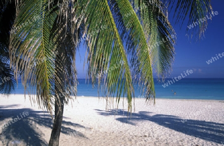 a beach on the coast of Varadero on Cuba in the caribbean sea.