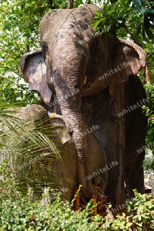 Elefant aus Stein