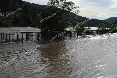 Hochwasser Rhein-Neckar