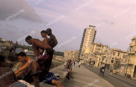 the Malecon road on the coast in the old townl of the city of Havana on Cuba in the caribbean sea