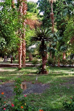 Botanischer Garten Assuan