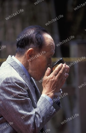 a tea ceremony in a traditional teahouse in the City centre of Tokyo in Japan in Asia,



