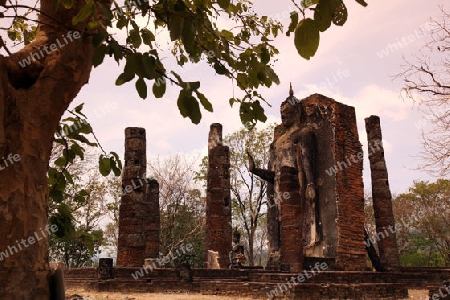 Eine Buddha Figur auf dem Wat Saphan HinTempel in der Tempelanlage von Alt-Sukhothai in der Provinz Sukhothai im Norden von Thailand in Suedostasien.