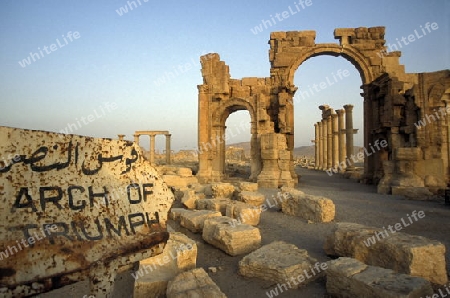 Die Ruinen von Palmyra in der Wueste Faydat in Syrien im Mittleren Osten in Arabien.