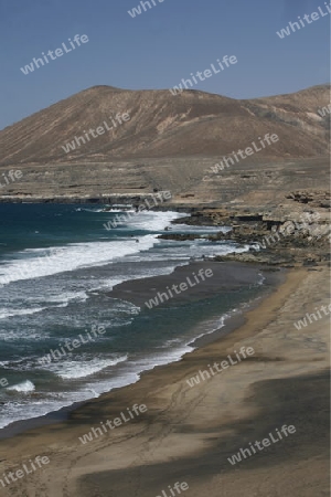 the Beach Playa de Garcey on the Island Fuerteventura on the Canary island of Spain in the Atlantic Ocean.