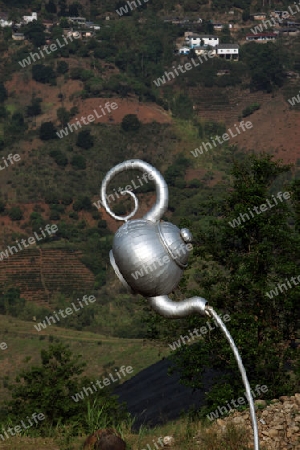 Die Landschaft mit Tee Plantagen beim Bergdorf Mae Salong in der Huegellandschaft noerdlich von Chiang Rai in der Provinz Chiang Rai im Norden von Thailand in Suedostasien.