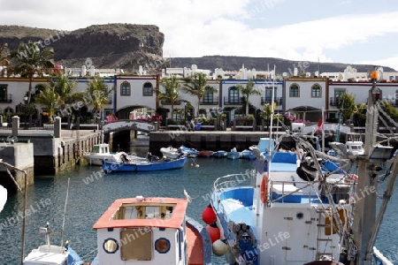 the harbour of the fishing village of  Puerto de Mogan in the south of Gran Canay on the Canary Island of Spain in the Atlantic ocean.