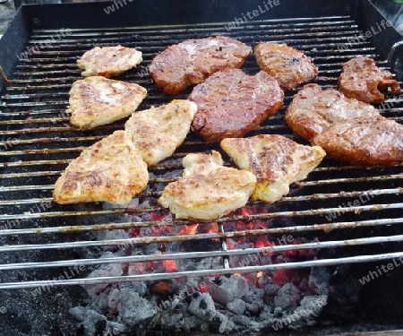 Das Grillfleisch 