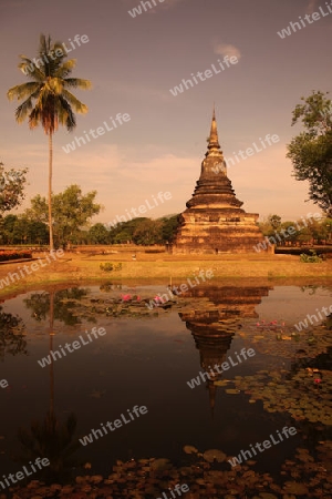 Ein Chedi beim Wat Mahathat Tempel in der Tempelanlage von Alt-Sukhothai in der Provinz Sukhothai im Norden von Thailand in Suedostasien.