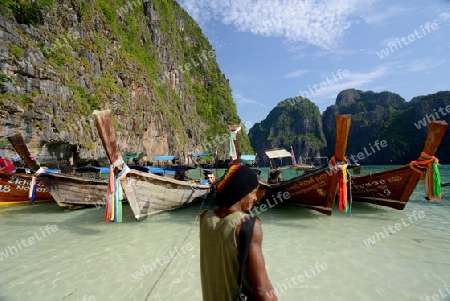 The Maya Beach  near the Ko Phi Phi Island outside of the City of Krabi on the Andaman Sea in the south of Thailand. 