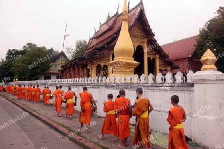 Moenche am fruehen Morgen beim einsammeln von Reis in der Altstadt von Luang Prabang in Zentrallaos von Laos in Suedostasien.  