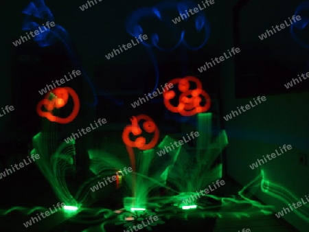 lightpaint Blumen