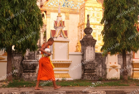 Moenche auf ihrem Rundgang am fruehem Morgen vor dem Tempel Wat Sainyaphum in der Stadt Savannahet in zentral Laos an der Grenze zu Thailand in Suedostasien.