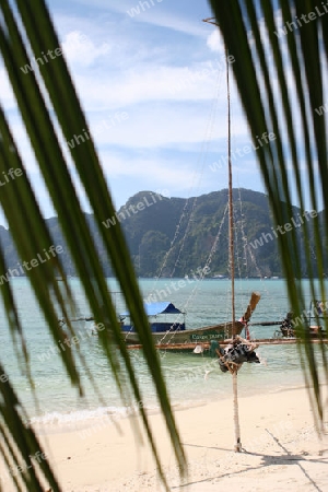 Boot am Strand von Koh Pi Pi in Thailand mit ungeschm?ckten Weihnachtsbaum 