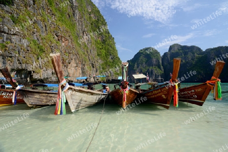 The Maya Beach  near the Ko Phi Phi Island outside of the City of Krabi on the Andaman Sea in the south of Thailand. 