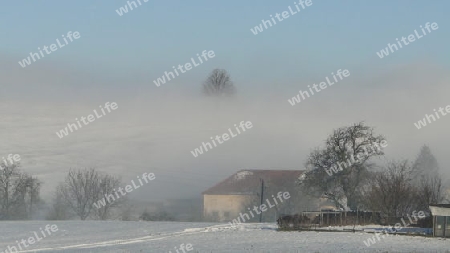 Morgen Nebel