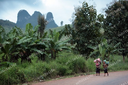 Menschen in der Landschaft in der Bergregion beim Dorf Kasi an der Nationalstrasse 13 zwischen Vang Vieng und Luang Prabang in Zentrallaos von Laos in Suedostasien.  