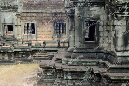 The Temple of  Ta Prohm in the Temple City of Angkor near the City of Siem Riep in the west of Cambodia.