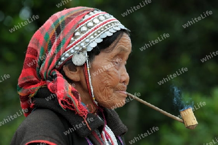 Traditionell gekleidete Frau von einem Stamm der Akha beim Dorf Fang noerdlich von Chiang Mai im Norden von Thailand