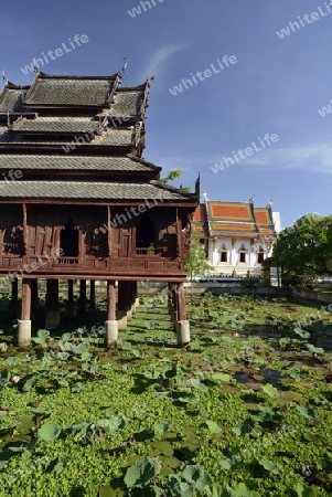 Der Tempel Wat Thung Si Meuang in der Stadt Ubon Ratchathani im nordosten von Thailand in Suedostasien.