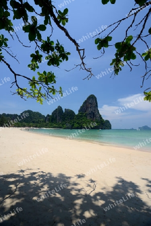 The Hat Railay Leh Beach at Railay near Ao Nang outside of the City of Krabi on the Andaman Sea in the south of Thailand. 