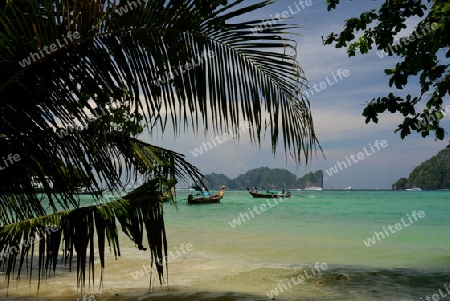 A Beach on the Island of Ko PhiPhi on Ko Phi Phi Island outside of the City of Krabi on the Andaman Sea in the south of Thailand. 