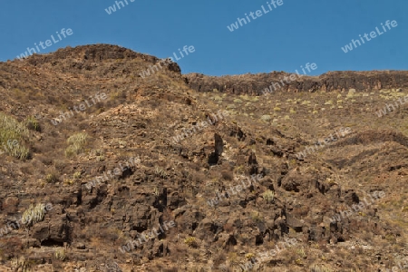 Vulkangestein auf Gran Canaria