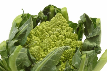 Romanesco im Detail. Studioaufnahme