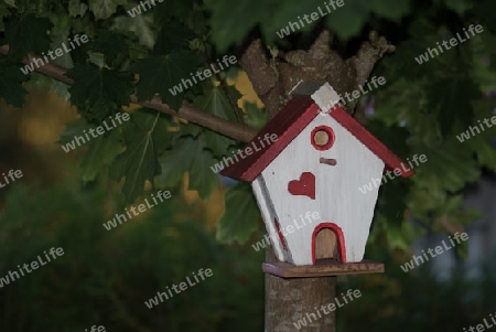 Dekorativer Nistkasten Im Garten