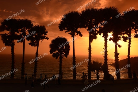 Der Aussichtspunkt Kap Promthep bei der Rawai Beach im sueden der Insel Phuket im sueden von Thailand in Suedostasien.