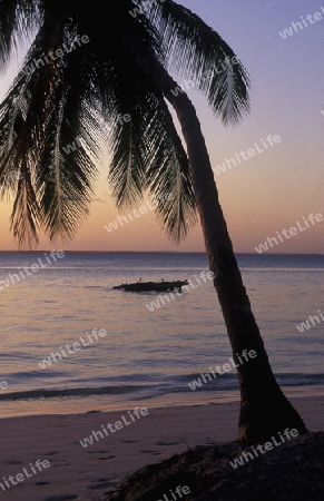 Der Traumstrand  von Michamvi am Chwaka Bay an der Ost-Kueste auf der Insel Zanzibar welche zu Tansania gehoert.         