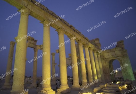 Die Ruinen von Palmyra in der Wueste Faydat in Syrien im Mittleren Osten in Arabien.