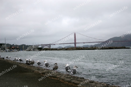 Golden Gate Br?cke in San Francisco