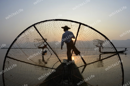 Fishermen at sunrise in the Landscape on the Inle Lake in the Shan State in the east of Myanmar in Southeastasia.