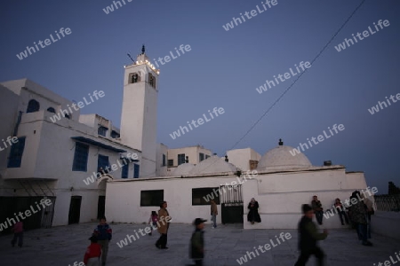 Afrika, Nordafrika, Tunesien, Tunis
Die Moschee mit dem Minarett in Altstadt von Sidi Bou Said am Mittelmeer und noerdlich der Tunesischen Hauptstadt Tunis. 






