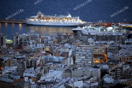 The view of the City of Santa Cruz on the Island of Tenerife on the Islands of Canary Islands of Spain in the Atlantic.  