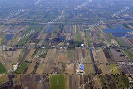 Die Landwirtschaft am rande der Stadt Bangkok in Thailand in Suedostasien.