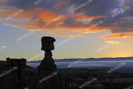 Thors Hammer kurz vor Sonnenaufgang, Sunrise Point, Bryce Canyon Nationalpark, Utah, Suedwesten USA