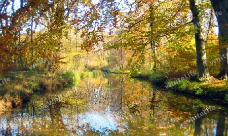 Herbst in Englischer Garten