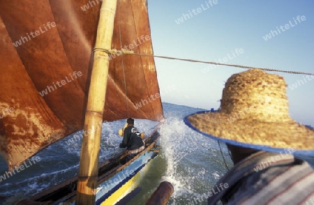 Asien, Indischer Ozean, Sri Lanka,
Ein traditionelles Fischerboot mit Fischern im Kuestendorf Negombo an der Westkueste von Sri Lanka. (URS FLUEELER)






