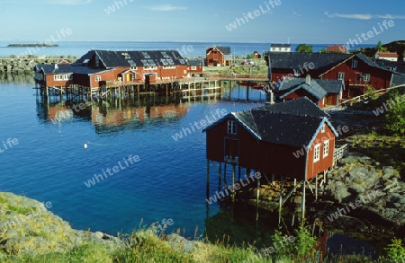 Lofoten 02