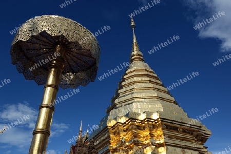 Der Chedi der Tempel Anlage des Wat Phra That Doi Suthep bei Chiang Mai in der Provinz Chiang Mai im Norden von Thailand in Suedostasien.