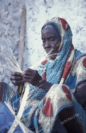 Eine Frau  im Dorf Bwejuu am Traumstrand  von Bwejuu an der Ost-Kueste auf der Insel Zanzibar welche zu Tansania gehoert.    