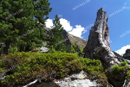 Grawandalm im Zemmgrund/Zillertaler Alpen, ?sterreich