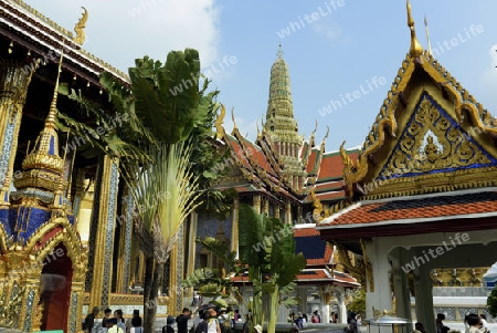 Der Wat Phra Kaew in der Stadt Bangkok in Thailand in Suedostasien.