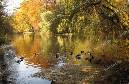 Englischer Garten M?nchen