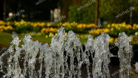 Wasserspiele.01