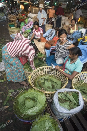 Betel nut at a Market near the City of Yangon in Myanmar in Southeastasia.