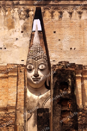 Die Buddha Figur  im Wat Si Chum Tempel in der Tempelanlage von Alt-Sukhothai in der Provinz Sukhothai im Norden von Thailand in Suedostasien.